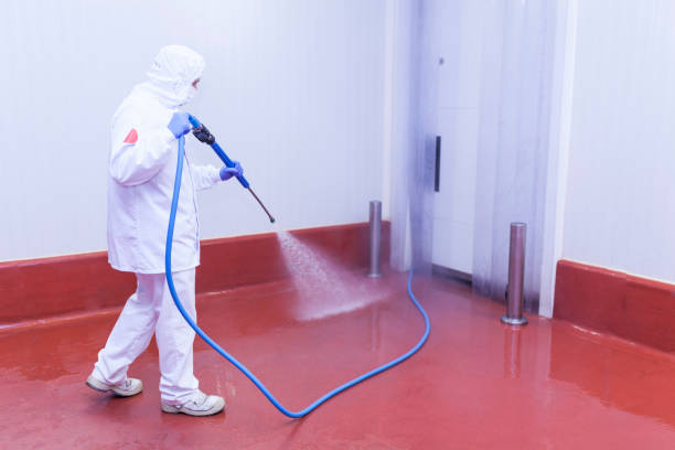 Best Spring Cleaning  in Clarcona, FL